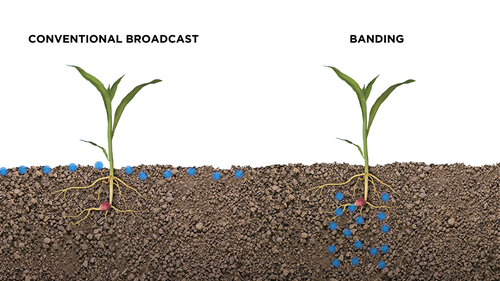 Agronomi